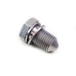 Elring Engine Oil Sump Plug Bolt M14 and Washer – VW Audi Seat Skoda – N90813201