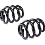 2X Rear Coil Springs Suspension For VW T5 T6 Transporter Camper Van