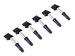 6X Ignition Pencil Coil Packs Set – BMW – E39 E46 E60 F10 F22 F30 – 12131712219