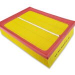 Air Filter Element Service Replacement – Audi A4 8E [2000-08] Exeo – 06C133843