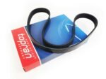 Ribbed Poly Drive V-Belt – 1.2 1.6 2.0 TDI – Audi VW Seat Skoda – 030145933R - Image 2